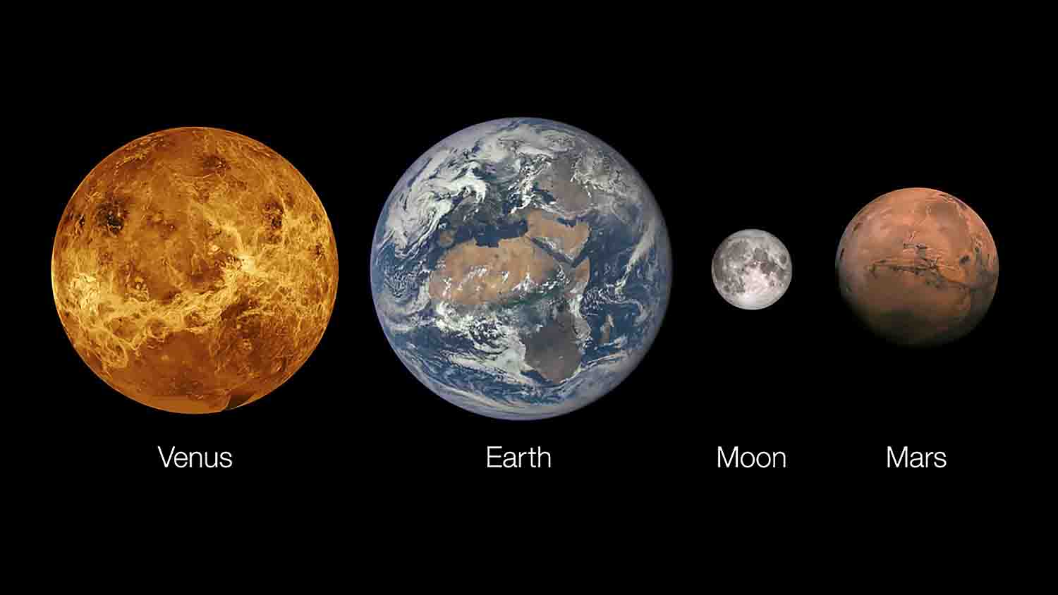 Сравнение размеров Марса, Земли, Луны и Венеры