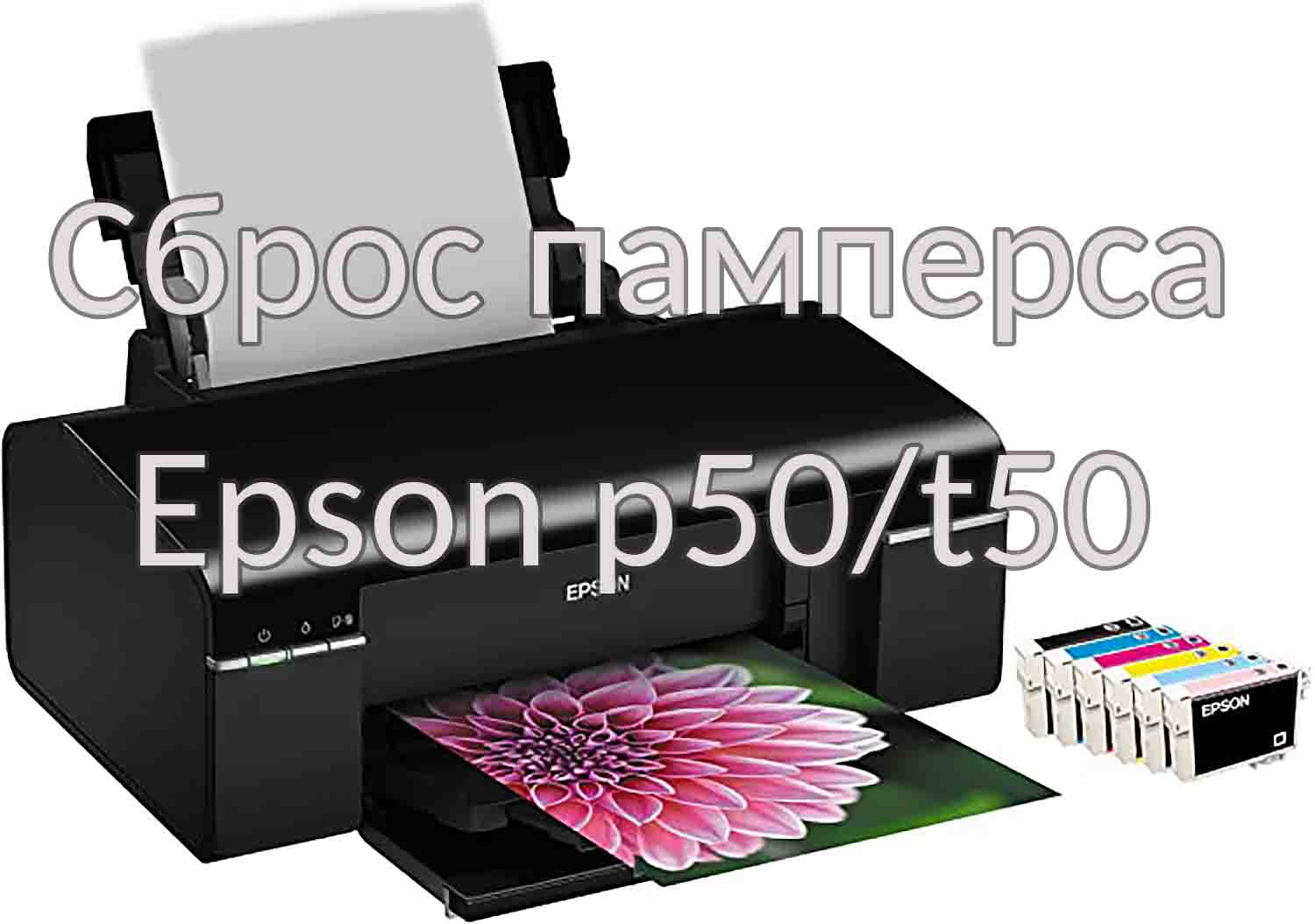 Сброс памперса Epson p50, t50